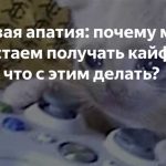 Лови кайф от игры: почему Приключения Кликеры так популярны