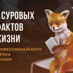 От желания к профессии: как стать профессиональным игроком в покер