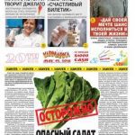 Психологическая составляющая успеха: ключевые аспекты чемпионства в гонках грузовиков