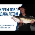 Секреты успешной ловли в симуляторах рыбалки: эксперты делятся своими советами
