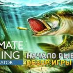 Симулятор рыбалки: эффективный способ расслабиться и улучшить психическое здоровье