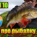 Симуляторы рыбалки: наслаждайтесь роскошью рыболовных снастей и аксессуаров