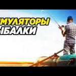 Симуляторы рыбалки: укрепление семейных отношений на удочке