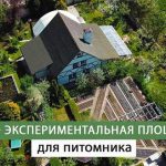 Уход за садом: от симулятора до реального опыта