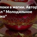 Вдохновение в каждом яблоке: магия симулятора садоводства