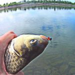 Виртуальная рыбалка во времена карантина: как симуляторы помогли людям справиться с самоизоляцией