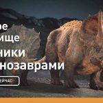 Захватывающие первобытные миры: Платформеры про динозавров и мамонтов
