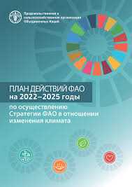 Влияние глобальных стратегий на изменение климата