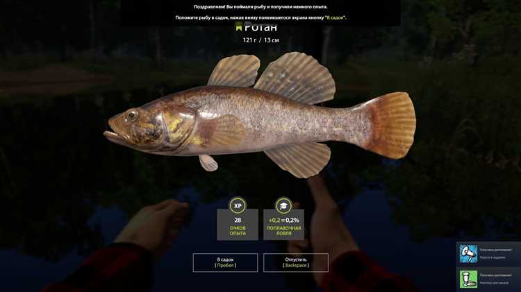 Основные особенности игры Deep Sea Fishing: