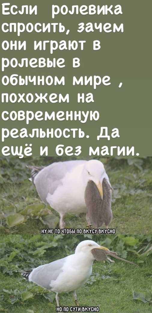 Свобода выбора и влияние на сюжет
