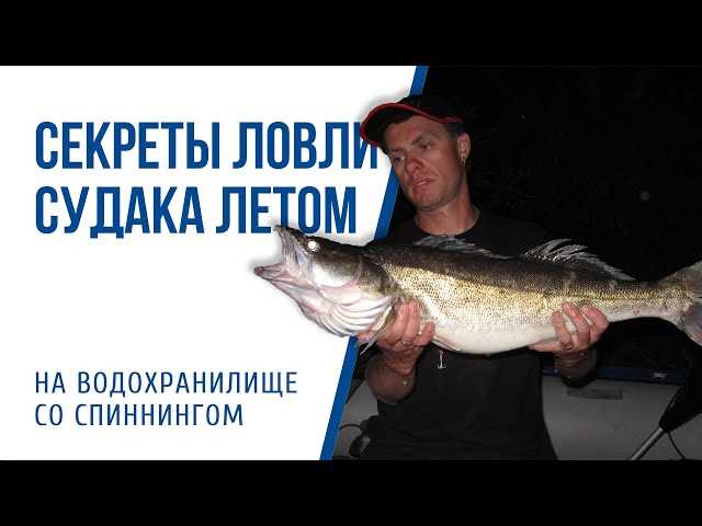 Секреты успешной ловли в симуляторах рыбалки: эксперты делятся своими советами