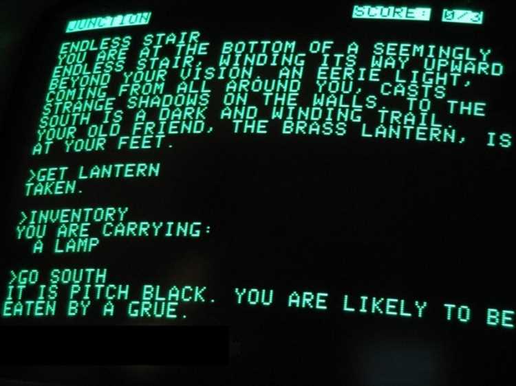 Особенности игрового процесса в текстовых симуляторах