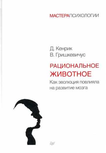 Польза активного отдыха для мозга