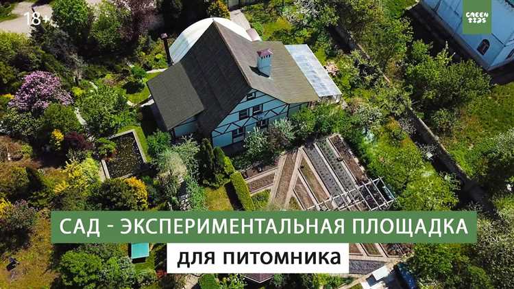 Уход за садом: от симулятора до реального опыта